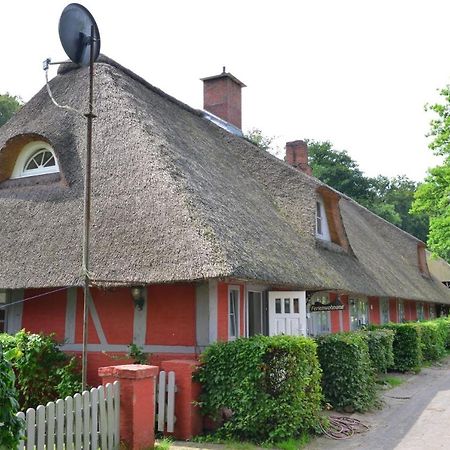 Wohnungen Unter Reet Krems Zwei エクステリア 写真