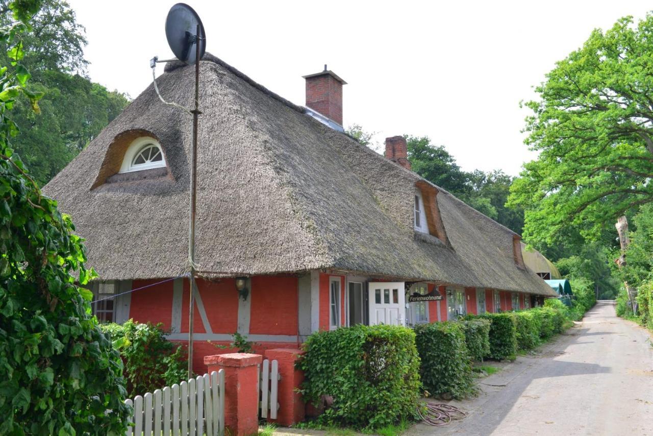 Wohnungen Unter Reet Krems Zwei エクステリア 写真