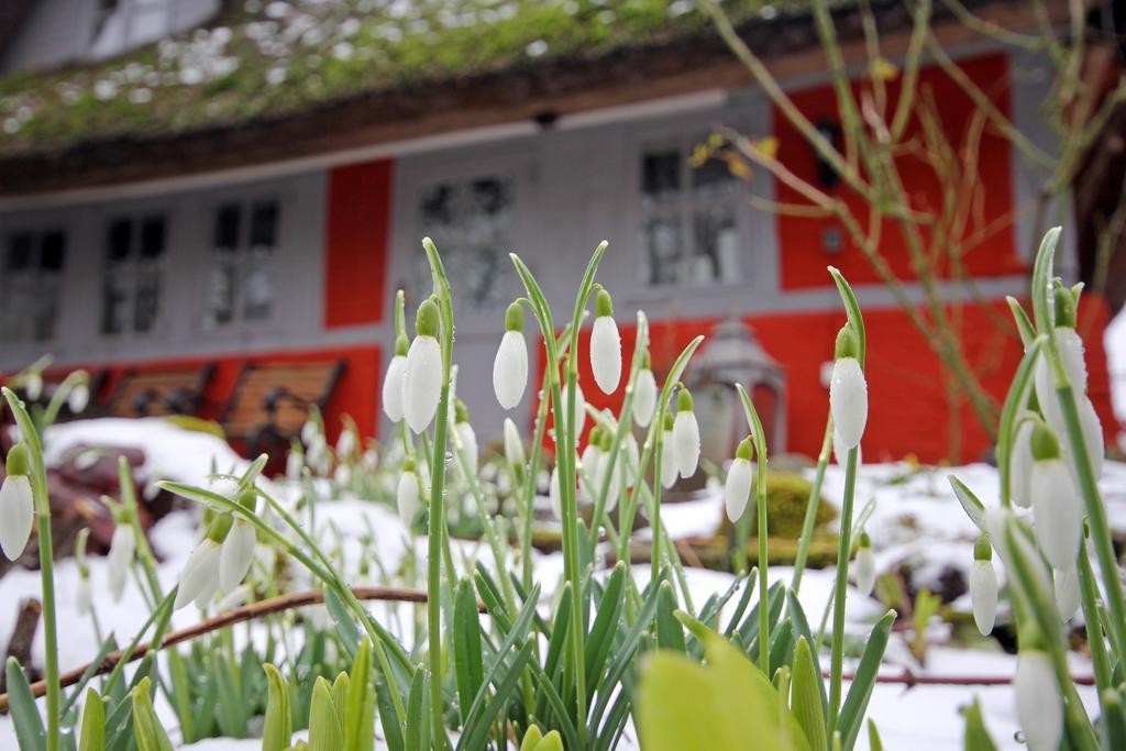 Wohnungen Unter Reet Krems Zwei エクステリア 写真